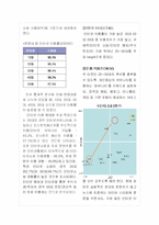 [인터넷비즈니스] 포털산업의 현황과 파란닷컴의 시장점유율 확대전략-17