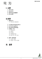[마케팅전략] 빈폴 마케팅 성공사례-2