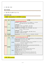 LG,삼성,외국계대기업합격 경력서 및 이력서-3
