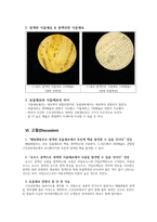일반생물학 3주차_동물세포 및 식물세포의 관찰-6