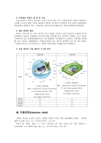 일반생물학 3주차_동물세포 및 식물세포의 관찰-7