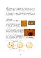 태양의 표면구조-2