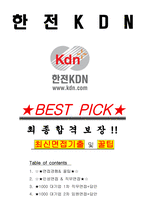 한전KDN 면접기출(최신)+꿀팁[최종합격!] +1000대기업 1차 직무면접 + 2차 임원면접 최종합격자 답안-1