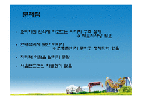 [서비스마케팅] 서울랜드 마케팅-9