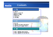 [경영정책] 메트라이프 METLIFE 생명보험의 이슈와 전략 보고서-2
