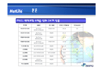[경영정책] 메트라이프 METLIFE 생명보험의 이슈와 전략 보고서-14