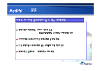 [경영정책] 메트라이프 METLIFE 생명보험의 이슈와 전략 보고서-15