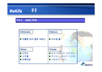 [경영정책] 메트라이프 METLIFE 생명보험의 이슈와 전략 보고서-17