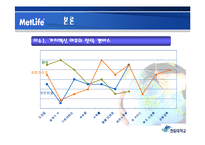[경영정책] 메트라이프 METLIFE 생명보험의 이슈와 전략 보고서-18