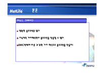 [경영정책] 메트라이프 METLIFE 생명보험의 이슈와 전략 보고서-19