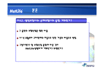 [경영정책] 메트라이프 METLIFE 생명보험의 이슈와 전략 보고서-20