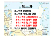 [국제기업환경] 카스의 사례로 보는 러시아의 국제기업환경-2