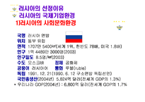 [국제기업환경] 카스의 사례로 보는 러시아의 국제기업환경-3