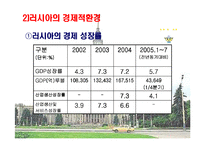 [국제기업환경] 카스의 사례로 보는 러시아의 국제기업환경-4