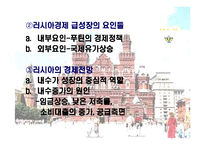 [국제기업환경] 카스의 사례로 보는 러시아의 국제기업환경-5
