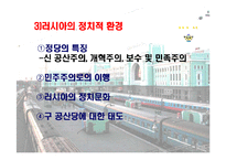 [국제기업환경] 카스의 사례로 보는 러시아의 국제기업환경-6