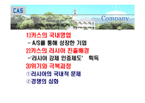 [국제기업환경] 카스의 사례로 보는 러시아의 국제기업환경-10