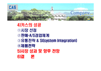 [국제기업환경] 카스의 사례로 보는 러시아의 국제기업환경-11
