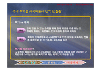 투기성 외국자본의 문제점과 대응과제-2