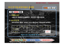 투기성 외국자본의 문제점과 대응과제-4