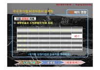 투기성 외국자본의 문제점과 대응과제-5