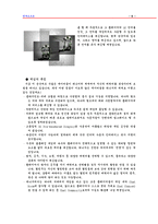 [온라인게임산업] 엔씨소프트 기업조사-5