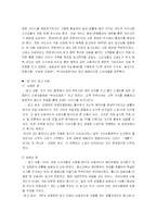 [광고론] 신용카드사 포지셔닝 비교 -BC카드의 스타마케팅 vs 현대카드의 크리에이티브 전략-4