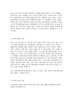 [서비스마케팅] 싸이월드 타운 서비스 마케팅 전략-7