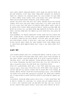 [국제커뮤니케이션] 국제 보도의 오보-2