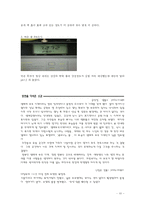 [생태계와 환경오염] 탄천에 관하여-10