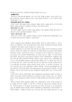 [정보체계론] 정보기술을 활용한 행정개혁-10
