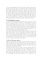 [정보체계론] 정보기술을 활용한 행정개혁-17