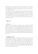[정보체계론] 정보기술을 활용한 행정개혁-19