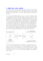 [문화학] 문화, 문명, 상징, 끊임없는 상호 작용과 확대 재생산-13