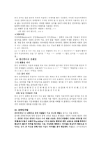 [매스컴] 인터넷의 문제점과 해결책-6