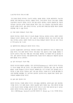 [매스컴] 인터넷의 문제점과 해결책-9