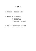 [매스컴] 미디어산업 -광고산업-2