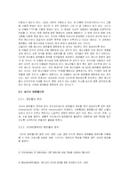 사이버공간에서 음란물의 현황 및 문제점-3
