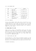 사이버공간에서 음란물의 현황 및 문제점-4