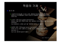 [상담론] 적응 및 스트레스-11