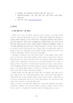 [정치학] 대만과 소말리아의 발전요소의 비교분석-20