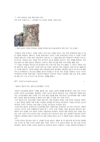 [도시행정] 청계천복원 사업이 지가에 미친 영향 분석 - 공시지가를 중심으로-9