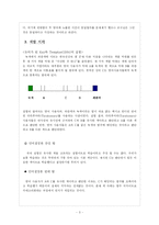 [언어심리학] 언어와 사고-3