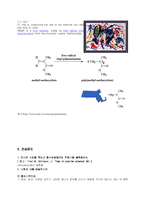 (적외선 분광법) IR을 이용한 정량분석-9