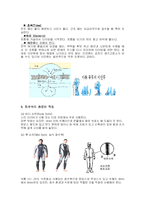 [의복과 환경] 스킨스쿠버복 잠수복 조사-5