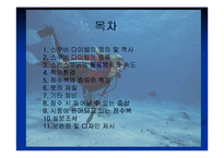 [의복과 환경] 스킨스쿠버복 잠수복 조사-2