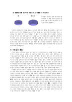 [식생활] 아침밥을 먹어야 하는 이유-8