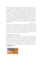 [식생활] 아침밥을 먹어야 하는 이유-11
