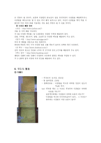 [식생활] 아침밥을 먹어야 하는 이유-14