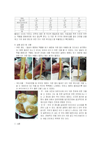 [실험조리] 여러 가지 가루의 흡수력 비교-7